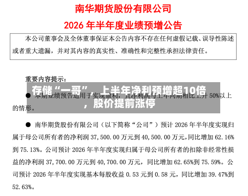存储“一哥”	，上半年净利预增超10倍，股价提前涨停-第2张图片