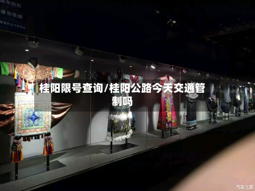桂阳限号查询/桂阳公路今天交通管制吗-第2张图片