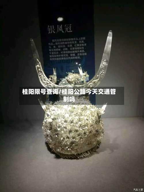 桂阳限号查询/桂阳公路今天交通管制吗-第3张图片