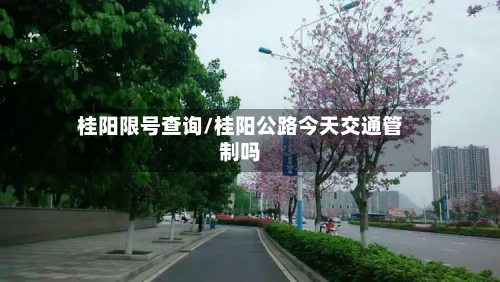 桂阳限号查询/桂阳公路今天交通管制吗