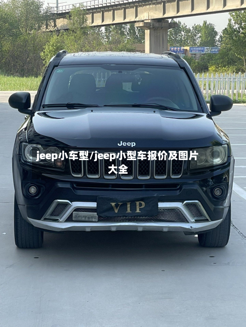 jeep小车型/jeep小型车报价及图片大全