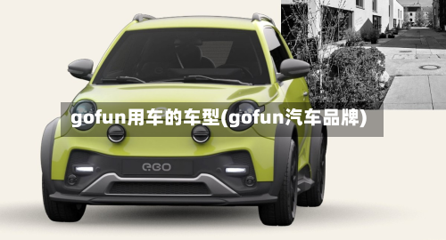 gofun用车的车型(gofun汽车品牌)-第3张图片