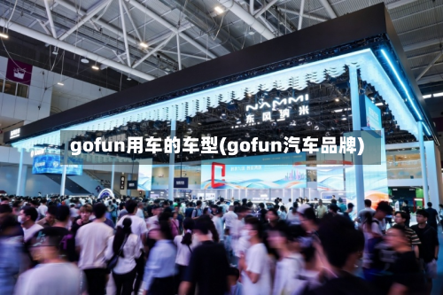 gofun用车的车型(gofun汽车品牌)