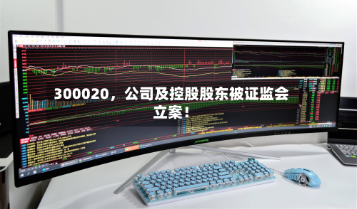 300020，公司及控股股东被证监会立案！-第2张图片