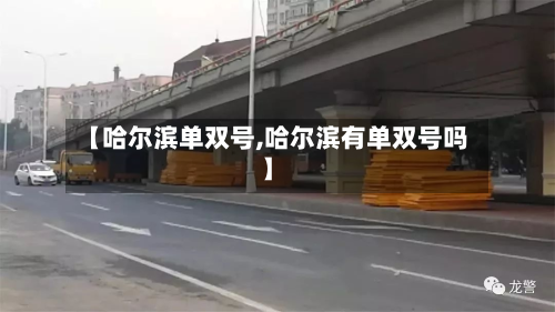 【哈尔滨单双号,哈尔滨有单双号吗】