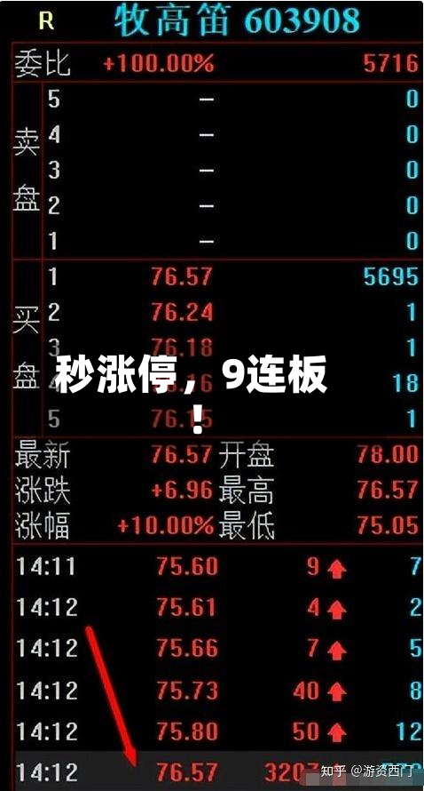 秒涨停，9连板！-第2张图片