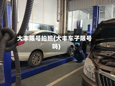 大丰限号拍照(大丰车子限号吗)