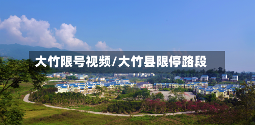 大竹限号视频/大竹县限停路段