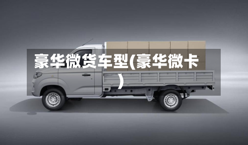 豪华微货车型(豪华微卡)