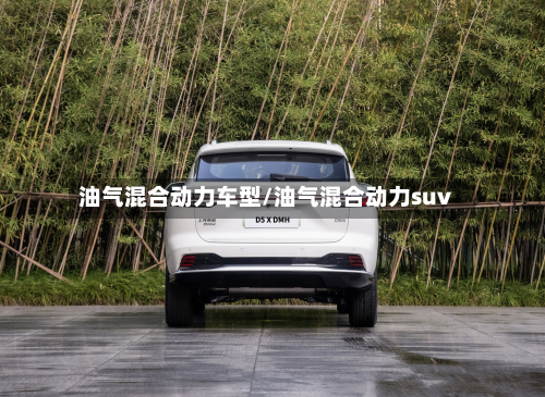 油气混合动力车型/油气混合动力suv