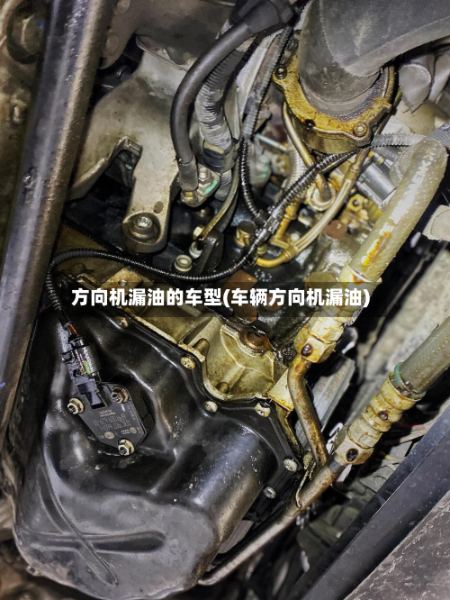 方向机漏油的车型(车辆方向机漏油)-第2张图片