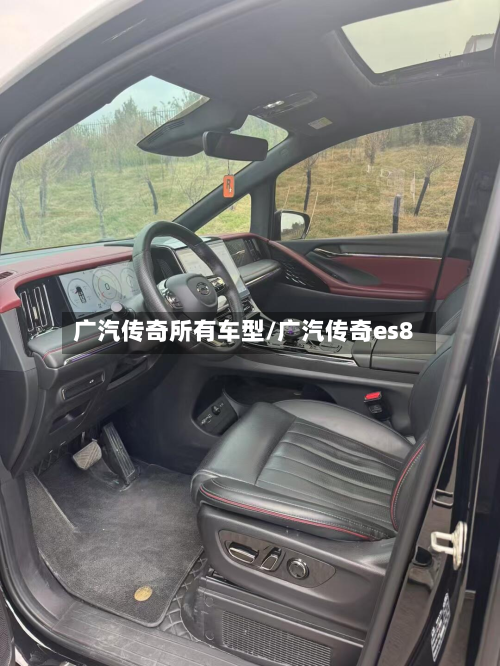 广汽传奇所有车型/广汽传奇es8-第3张图片