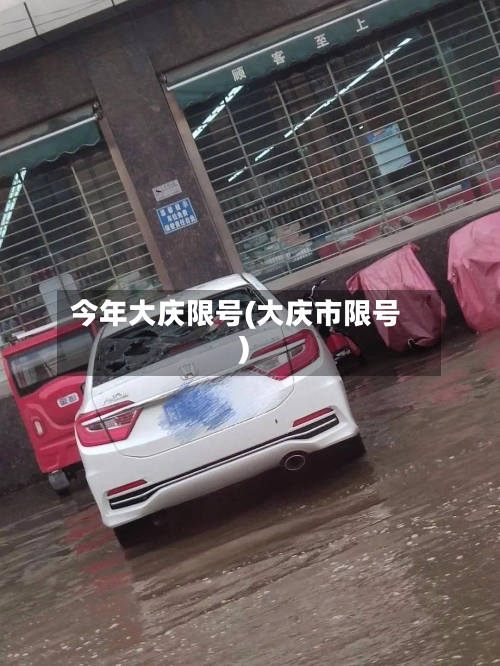 今年大庆限号(大庆市限号)