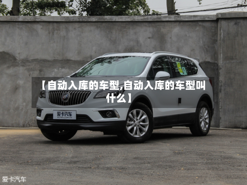 【自动入库的车型,自动入库的车型叫什么】