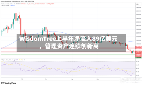 WisdomTree上半年净流入89亿美元，管理资产连续创新高-第3张图片