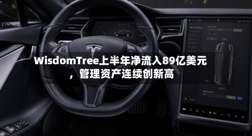 WisdomTree上半年净流入89亿美元，管理资产连续创新高-第2张图片