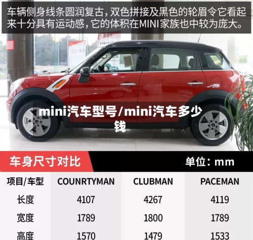mini汽车型号/mini汽车多少钱