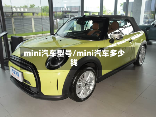 mini汽车型号/mini汽车多少钱-第3张图片