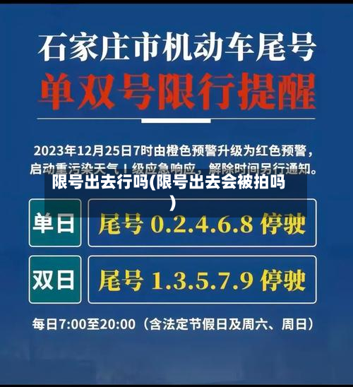 限号出去行吗(限号出去会被拍吗)-第2张图片