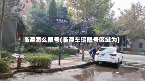 临潼怎么限号(临潼车辆限号区域为)
