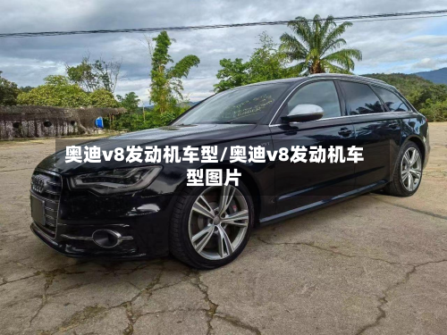 奥迪v8发动机车型/奥迪v8发动机车型图片-第3张图片