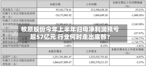 牧原股份今年上半年归母净利润预亏超57亿元 行业何时走出底部？-第2张图片