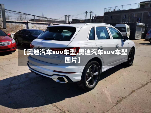 【奥迪汽车suv车型,奥迪汽车suv车型图片】-第3张图片