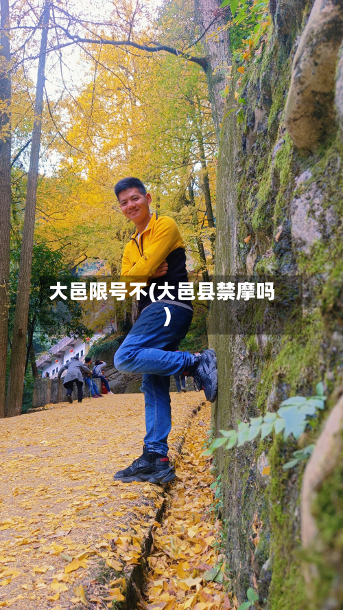 大邑限号不(大邑县禁摩吗)