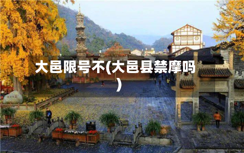 大邑限号不(大邑县禁摩吗)-第2张图片