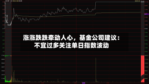 涨涨跌跌牵动人心，基金公司建议：不宜过多关注单日指数波动-第2张图片