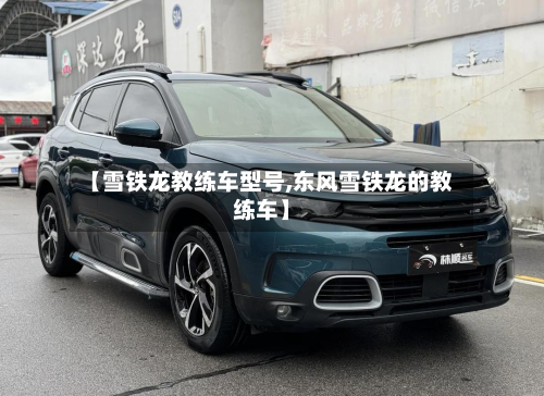 【雪铁龙教练车型号,东风雪铁龙的教练车】
