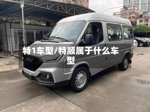 特1车型/特顺属于什么车型