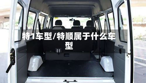 特1车型/特顺属于什么车型-第3张图片