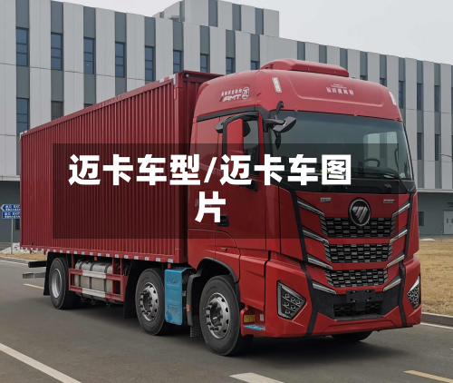 迈卡车型/迈卡车图片