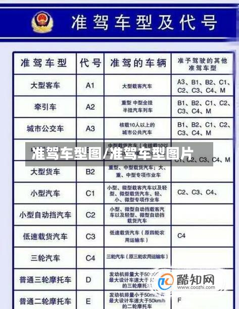 准驾车型图/准驾车型图片-第2张图片