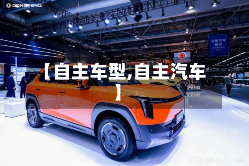 【自主车型,自主汽车】