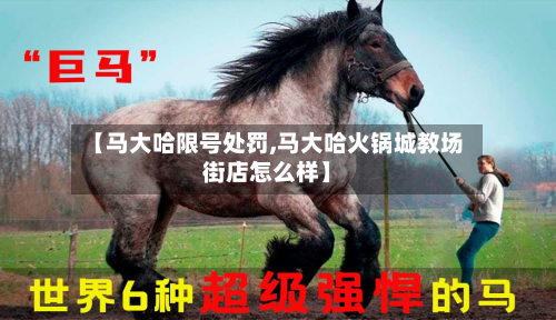 【马大哈限号处罚,马大哈火锅城教场街店怎么样】-第2张图片