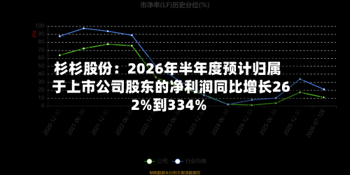 杉杉股份：2026年半年度预计归属于上市公司股东的净利润同比增长262%到334%-第1张图片