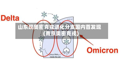 山东现奥密克戎进化分支国内首发现(南京奥密克戎)-第3张图片