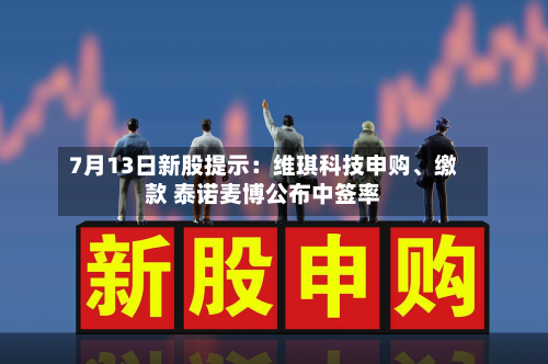 7月13日新股提示：维琪科技申购、缴款 泰诺麦博公布中签率-第2张图片