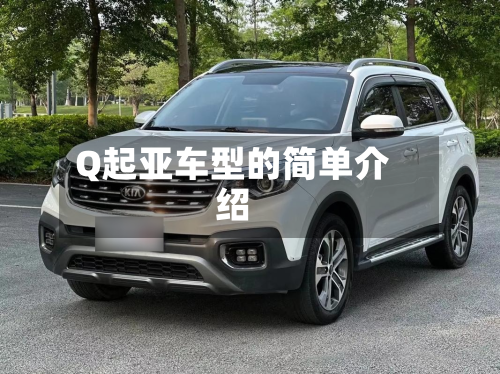 Q起亚车型的简单介绍-第2张图片