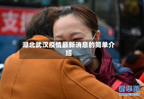 湖北武汉疫情最新消息的简单介绍