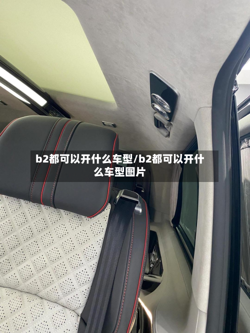 b2都可以开什么车型/b2都可以开什么车型图片