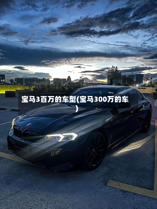 宝马3百万的车型(宝马300万的车)