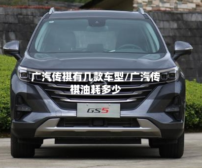 广汽传祺有几款车型/广汽传祺油耗多少