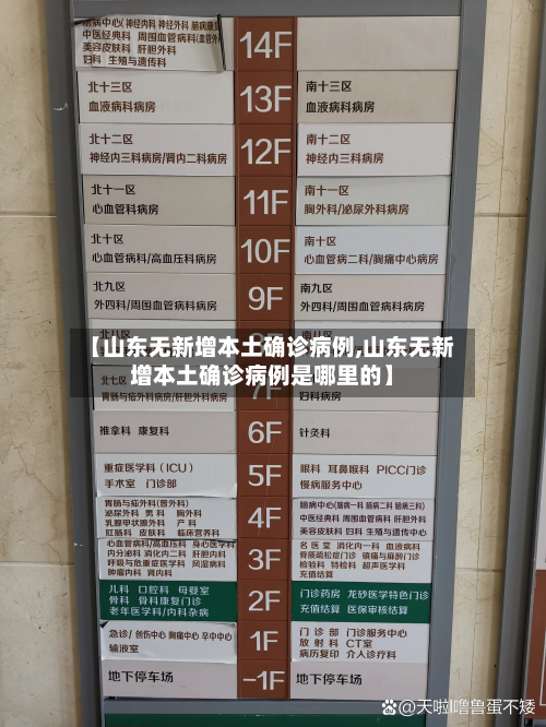 【山东无新增本土确诊病例,山东无新增本土确诊病例是哪里的】-第2张图片