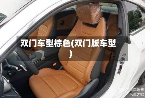 双门车型棕色(双门版车型)-第3张图片