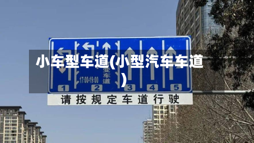 小车型车道(小型汽车车道)
