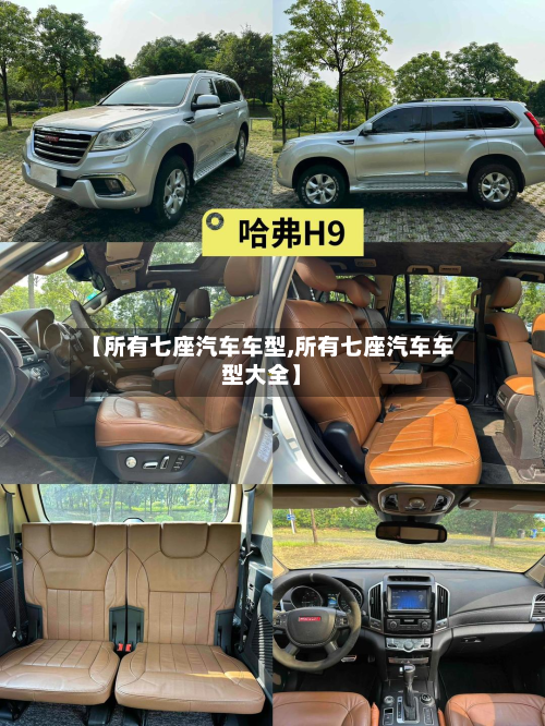 【所有七座汽车车型,所有七座汽车车型大全】-第2张图片