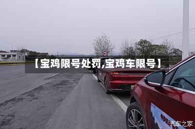 【宝鸡限号处罚,宝鸡车限号】
